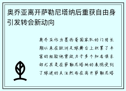 奥乔亚离开萨勒尼塔纳后重获自由身引发转会新动向